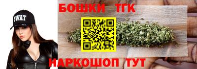 гашик Жуковский