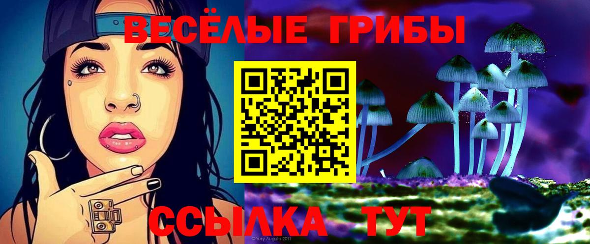 Галлюциногенные грибы MAGIC MUSHROOMS  Вход с VPN  Галлюциногенные грибы ЛСД  даркнет сайт  Кирово-Чепецк 