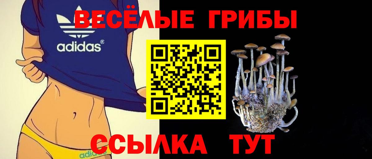 Галлюциногенные грибы GOLDEN TEACHER Кирово-Чепецк